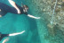 Experiencia Multiaventura: Jeeps, Kayak, Cueva Marina, Salto desde Acantilado y Snorkel con Picnic y Fotos (Alcúdia, Mallorca)