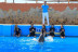 Entrada a Mundomar y Encuentro con Delfines (Benidorm, Alicante)