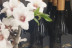 Visita Orígenes: Visita y Cata de Vinos para dos en Bodegas Murviedro (Requena, Valencia)