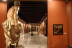 Visita Guiada al Museo de Bellas Artes de Sevilla (Sevilla)