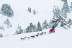 Mushing: Conducción de un Trineo con Perros Siberianos (Vall d'Aran)