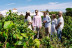 Visita a Bodega y Cata de Vinos en Caves Nadal (Torrelavit, Barcelona)