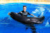 Entrada a Mundomar y Nadar con Leones Marinos (Benidorm, Alicante)
