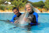 Dolphin Emotions Exclusive: Nadar con Delfines: Sesión Privada en Exclusiva y Entrada a Zoomarine para dos (Algarve, Portugal)