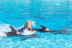 Dolphin Emotions Premium: Nadar con Delfines, Entrada a Zoomarine y Acceso para Acompañante (Portugal)