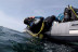 Bautismo de Buceo con Fotos y Vídeos (Vilagarcía de Arousa, Pontevedra)