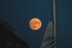 Navegación Nocturna Bajo la Luna Llena (Sotogrande, Cádiz)
