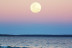 Navegación Nocturna Bajo la Luna Llena (Sotogrande, Cádiz)