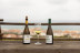 Visita a Bodega Nilva con Cata de Vinos y Tapas para cuatro personas (Manilva, Málaga)