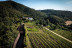 Escapada con Cena en Finca Bell-Lloc y Visita Guiada al Celler Brugarol con Degustación de Vinos, Aceites y Productos B (Palamós, Girona)