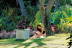 Noche Romántica con Spa y Cena en Hotel Botánico & The Oriental Spa Garden 5* GL (Puerto de la Cruz, Tenerife)