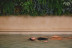 Experiencia Oasis Masaje: Masaje y Piscina de Sales de Epsom en Oasis Spa Sevilla (Sevilla)