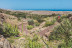 Entrada a Oasis Wildlife Fuerteventura para No Residentes (La Lajita, Fuerteventura)