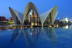 Entrada a Oceanogràfic y Backstage Tour (Valencia)