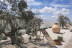Visita a Oleotour Cazorla con Degustación de Aceites (Cazorla, Jaén)