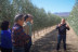 Visita Guiada a OleoAlmanzora con Degustación de AOVE para dos (Pulpí, Almería)