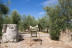 Oleoturismo ‘Hacienda La Laguna’: Entrada y Visita al Museo y Taller de Iniciación a la Cata de Aceites para dos (Puente del Obispo, Jaén)