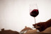 Visita a Bodegas Olimarum con Cata de Vino y Aperitivo para dos (Canalejas de Peñafiel, Valladolid)