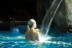 Circuito Spa y Quiromasaje Sensorial Craneofacial en Olympic Spa & Sport Club (Lloret de Mar, Girona)