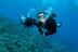 Curso de Buceo Open Water Diver (Tarragona)