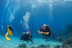 Curso de Buceo Open Water Diver (Tarragona)