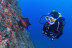 Curso de Open Water Diver (Calella de Palafrugell, Girona)