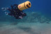 Curso de Open Water Diver (Calella de Palafrugell, Girona)