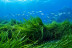 Open Water Diver (Miami Platja, Tarragona)