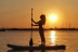Alquiler de Tabla de Paddle Surf (Valencia)
