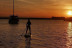 Alquiler de Tabla de Paddle Surf (Valencia)