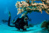 Pack Bautismo de Buceo