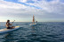 Paddle Surf  (Barcelona)