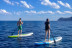 Excursión de Paddle Surf por la Mañana o Tarde (Cala Ratjada, Mallorca)