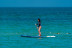 Alquiler de Paddle Surf con Snorkel Opcional (Castelldefels, Barcelona)