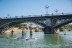 Ruta de Paddle Surf en el Río Guadalquivir (Sevilla)