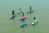 Ruta de Paddle Surf en el Río Guadalquivir (Sevilla)