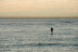 Paddle Surf (Vilanova i la Geltrú, Barcelona)