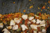 Clase de Paella y Arroces con Degustación (Donostia-San Sebastián, Guipúzcoa)