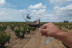 Visita a Bodega con Cata de Vinos y Aperitivo para dos en Palacio de Villachica (Toro, Zamora)