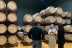 Visita a Bodega con Cata de Vinos y Aperitivo para dos en Palacio de Villachica (Toro, Zamora)