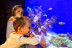 Entrada a Palma Aquarium (Palma de Mallorca)