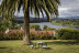 Escapada con Desayuno y Comida o Cena para dos personas en Parador de Tui (Pontevedra)