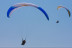 Vuelo en Parapente con Vídeo (Cantabria)