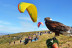 Vuelo Bautismo en Parapente (Madrid)