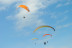 Vuelo en Parapente con Fotos y Vídeo (Orduña, Vizcaya) 