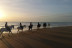 Ruta a Caballo por la Playa (Cádiz)