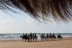 Ruta a Caballo por la Playa (Cádiz)