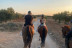 Paseo a Caballo (Campo Real, Madrid)