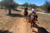 Paseo a Caballo para dos con Opción a Tosta y Bebida (Campo Real, Madrid)