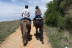 Paseo a Caballo (Campo Real, Madrid)